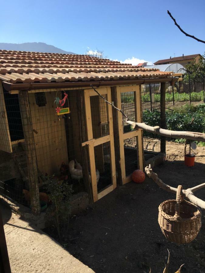 Buonocore Rooms Santa Maria La Carità Zewnętrze zdjęcie